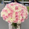 101 ароматная пионовидная роза