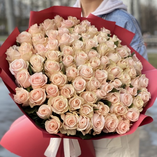 101 нежно-розовая роза Помароса