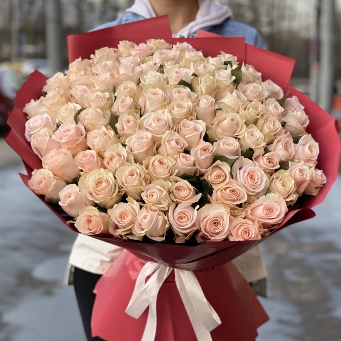 101 нежно-розовая роза Помароса
