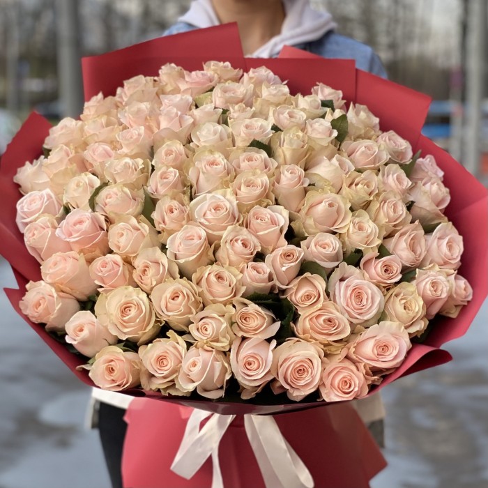 101 нежно-розовая роза Помароса