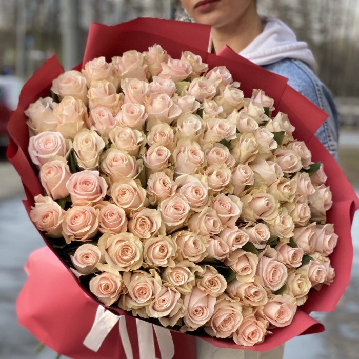 101 нежно-розовая роза Помароса