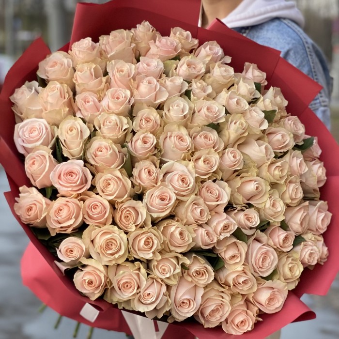 101 нежно-розовая роза Помароса