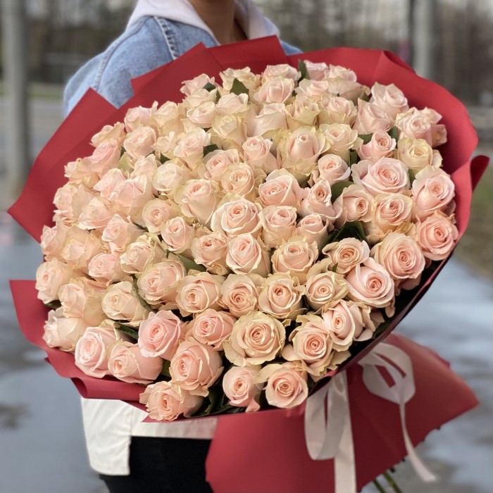 101 нежно-розовая роза Помароса