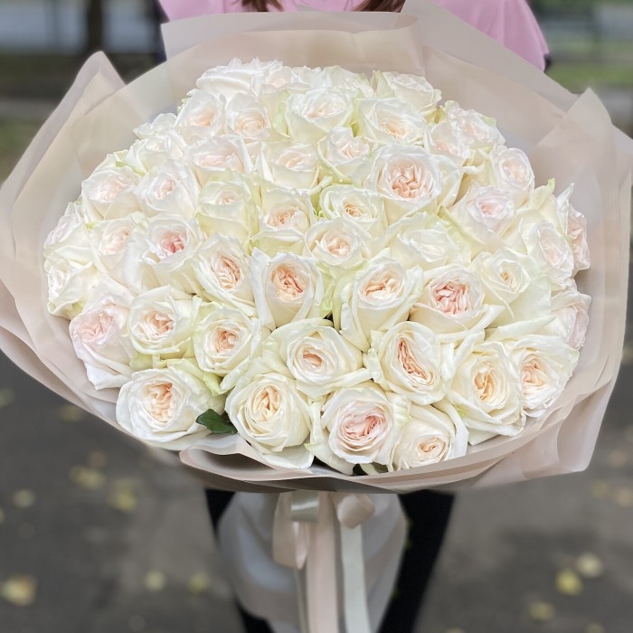 51 ароматная роза Вайт Охара 60см