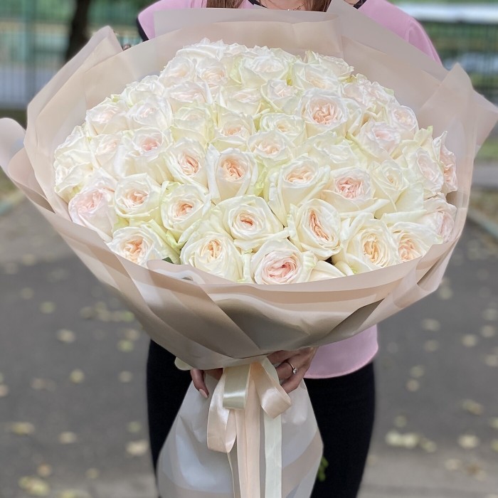 51 ароматная роза Вайт Охара 60см