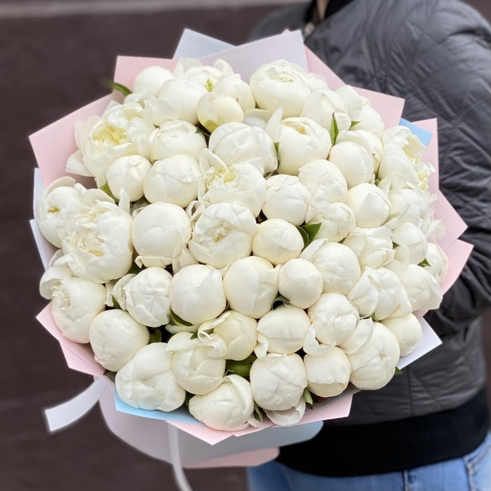 51 белый пион