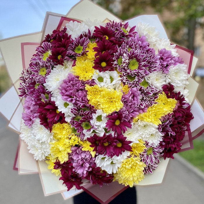Хризантема кустовая микс