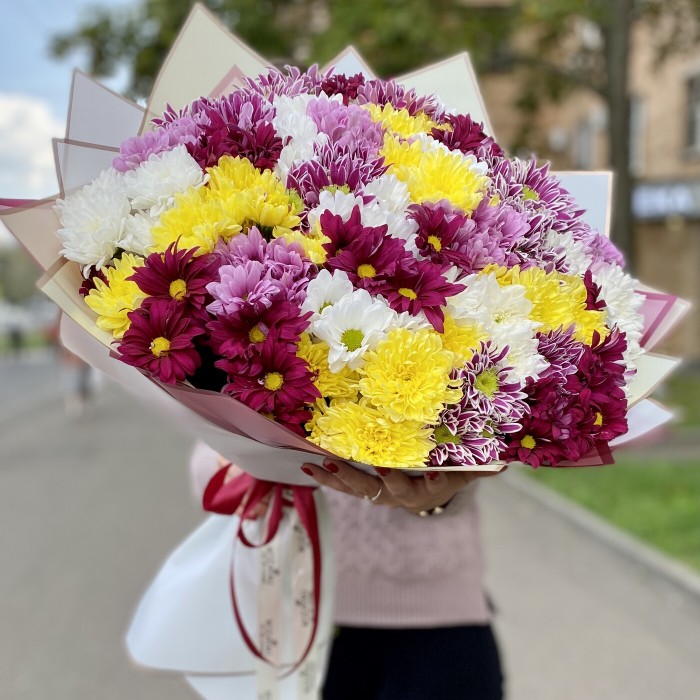 Хризантема кустовая микс
