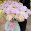 51 крымская хризантема