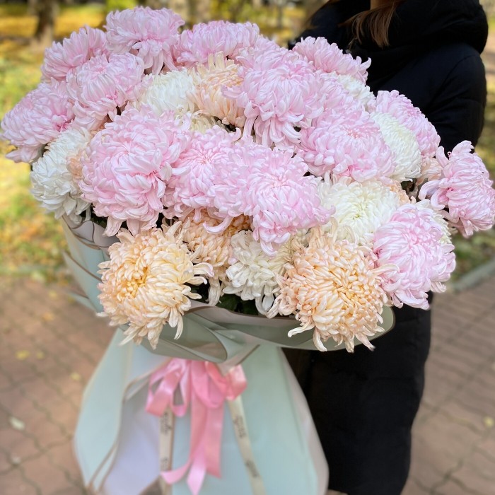 51 крымская хризантема