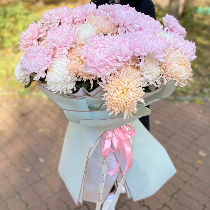 51 крымская хризантема