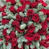 51 красная роза с нобилисом
