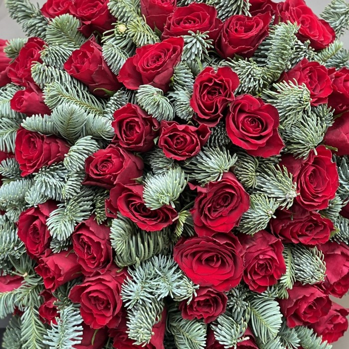 51 красная роза с нобилисом в упаковке