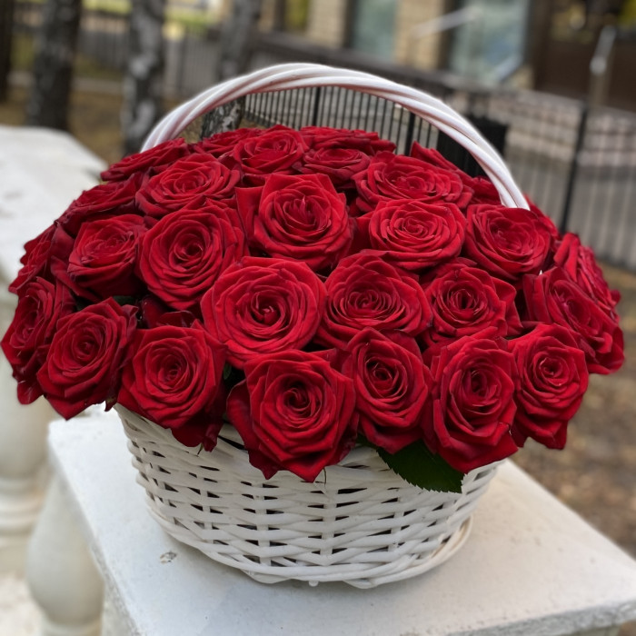 51 ароматная красная роза в корзине