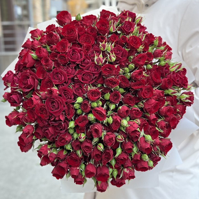 51 кустовая красная роза Велвет Блоссом 50 см