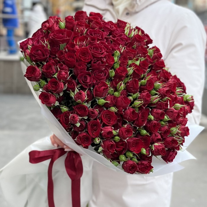 51 кустовая красная роза Велвет Блоссом 50 см