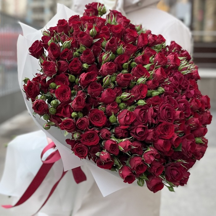 51 кустовая красная роза Велвет Блоссом 50 см