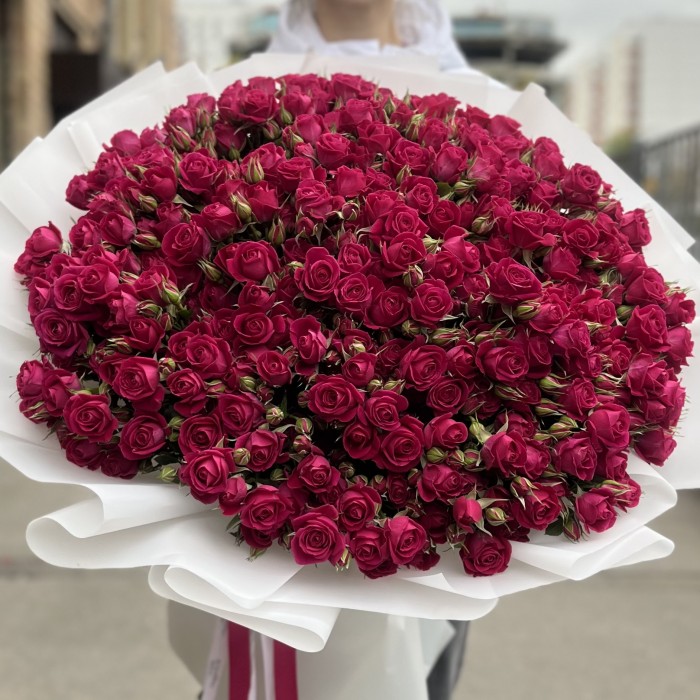 51 кустовая малиновая роза Алиша 70 см