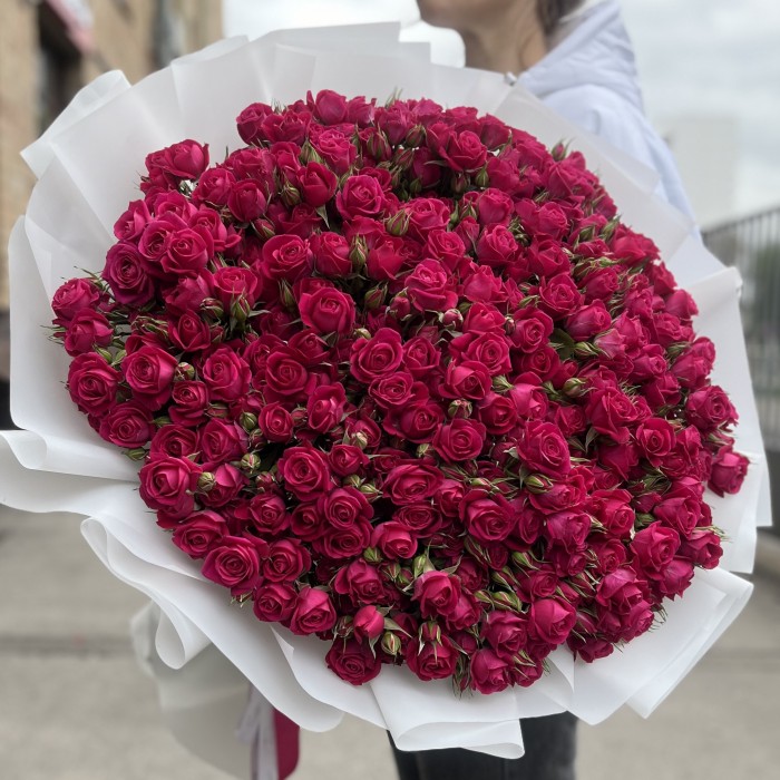 51 кустовая малиновая роза Алиша 70 см