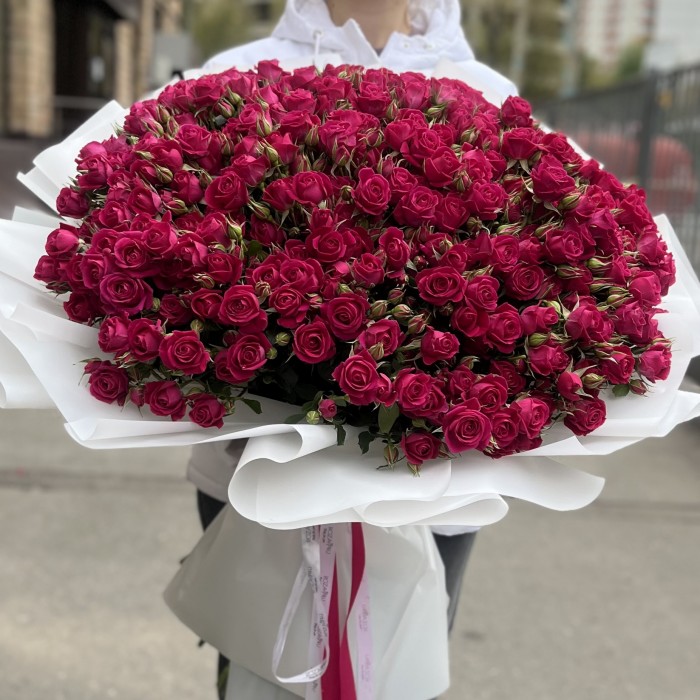 51 кустовая малиновая роза Алиша 70 см