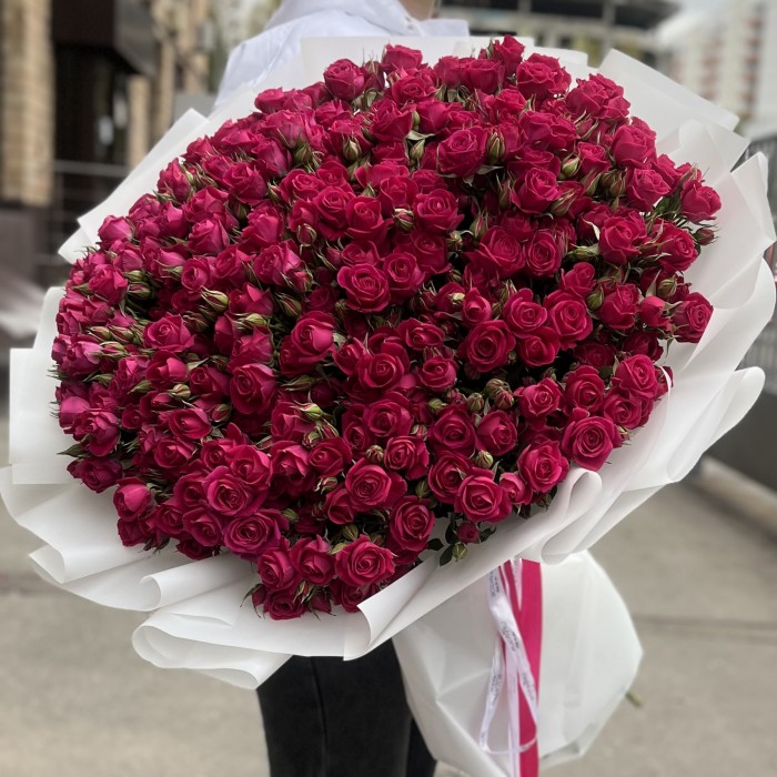 51 кустовая малиновая роза Алиша 70 см
