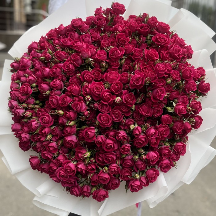 51 кустовая малиновая роза Алиша 70 см