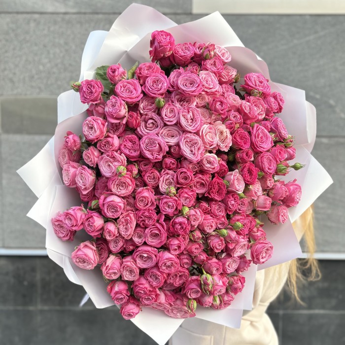 51 кустовая пионовидная роза Леди Бомбастик 50 см