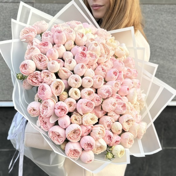 51 кустовая пионовидная роза Мансфилд Парк 50 см