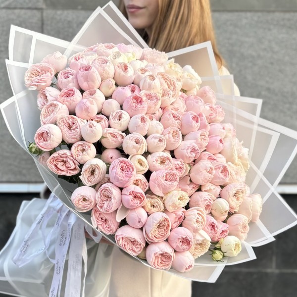 51 кустовая пионовидная роза Мансфилд Парк 60 см