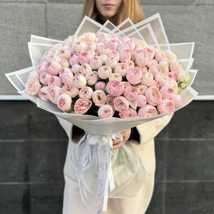 51 кустовая пионовидная роза Мансфилд Парк 60 см