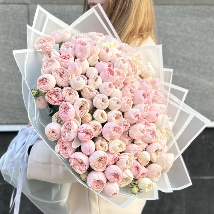 51 кустовая пионовидная роза Мансфилд Парк 60 см