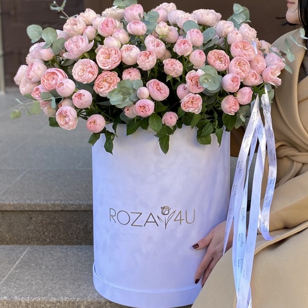 51 кустовая пионовидная роза Мансфилд Парк в бархатной коробке