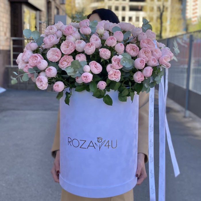 51 кустовая пионовидная роза Мансфилд Парк в бархатной коробке