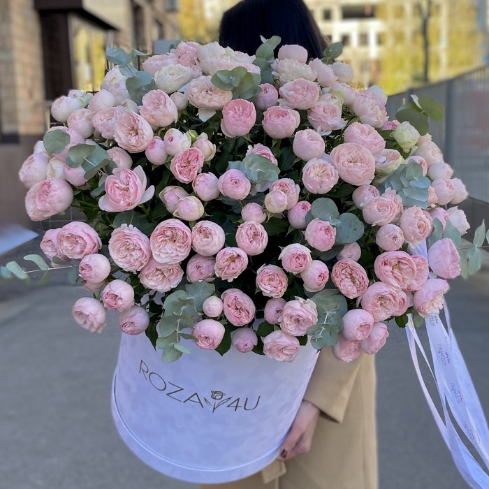 51 кустовая пионовидная роза Мансфилд Парк в бархатной коробке