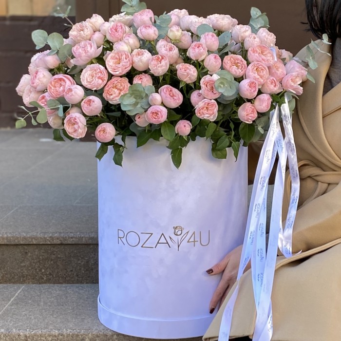 51 кустовая пионовидная роза Мансфилд Парк в бархатной коробке