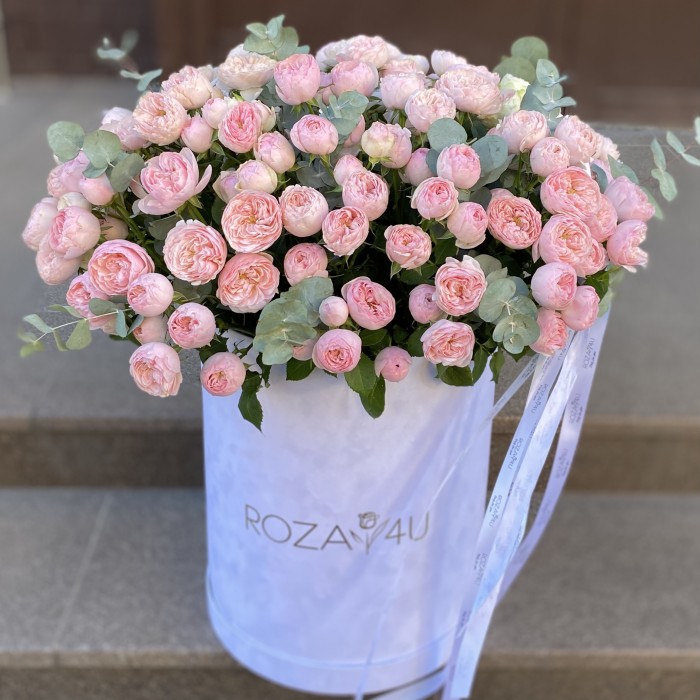 51 кустовая пионовидная роза Мансфилд Парк в бархатной коробке