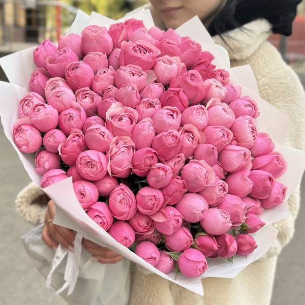 51 кустовая пионовидная роза Сильва Пинк