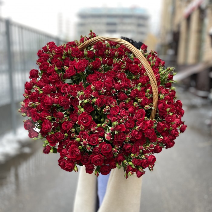 51 кустовая роза Рубикон в корзине
