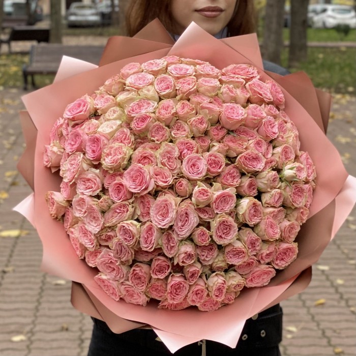 51 кустовая роза Baby Follies