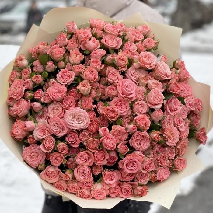 51 кустовая роза Мадам Бомбастик