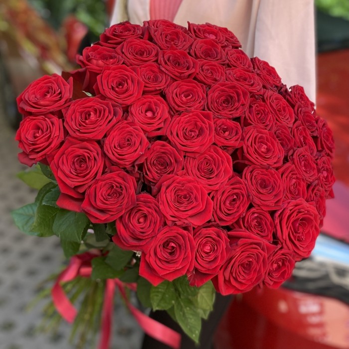 51 красная роза Люкс