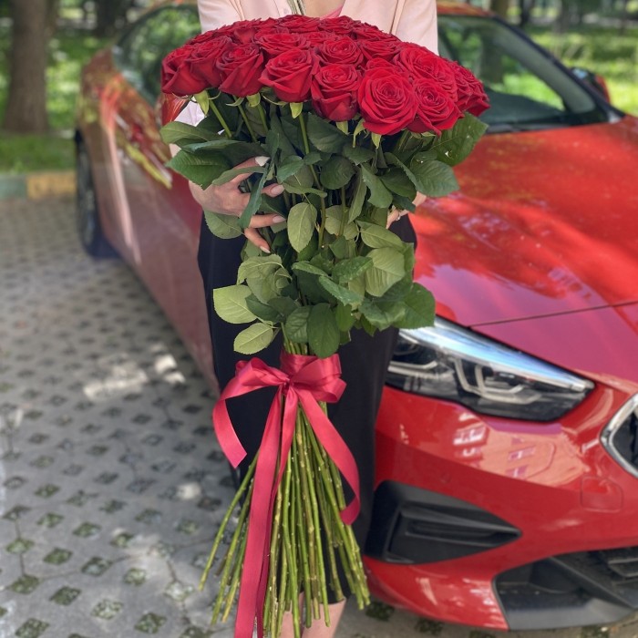 51 красная роза Люкс