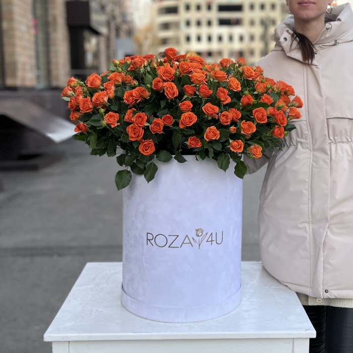 51 оранжевая кустовая роза Чарминг Бейб в бархатной коробке