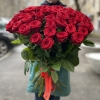 51 красная роза 70 см