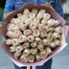 51 пионовидная роза Модести