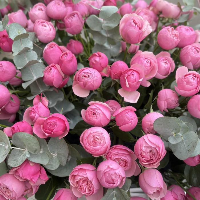 51 пионовидная кустовая роза Сильва Пинк в корзине