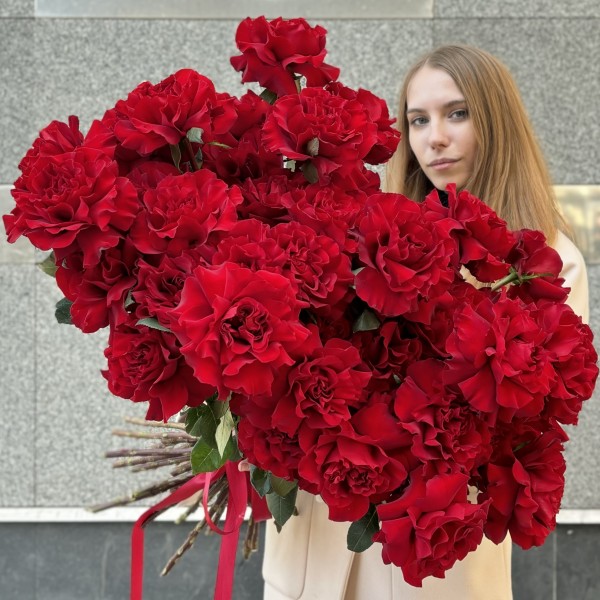 51 пышная красная роза Хартс