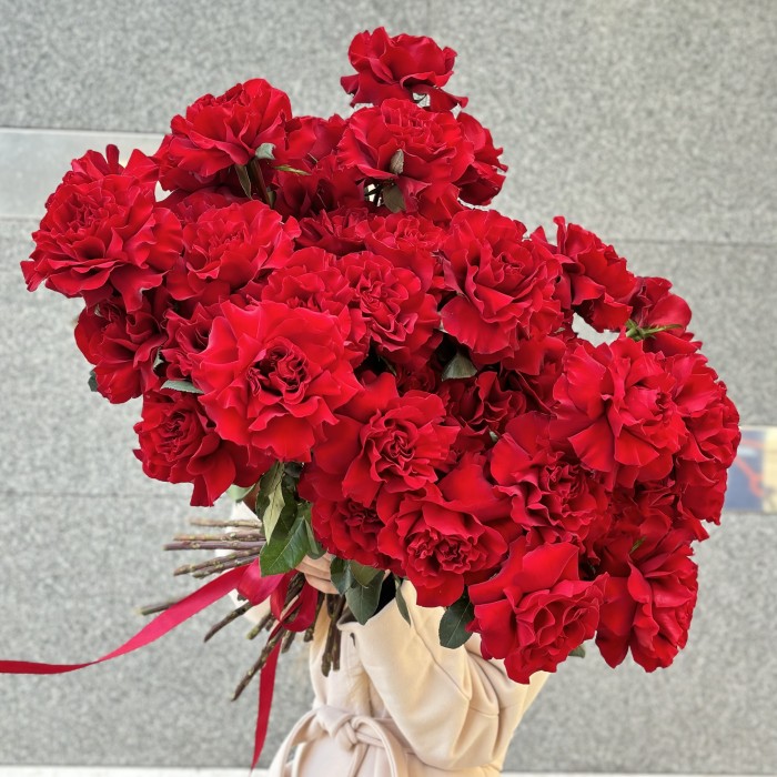 51 пышная красная роза Хартс