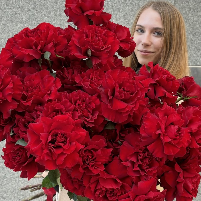 51 пышная красная роза Хартс