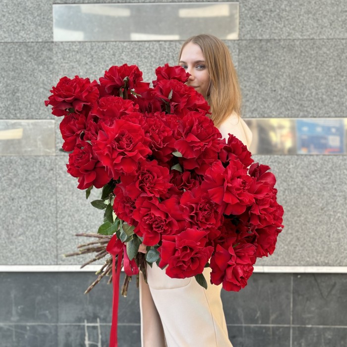 51 пышная красная роза Хартс